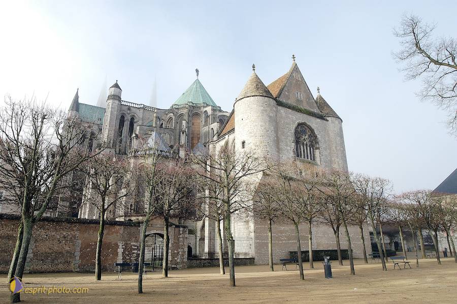 Nom de l'image : D1107502-nef-01_(c)Norbert-JUNG — Description :